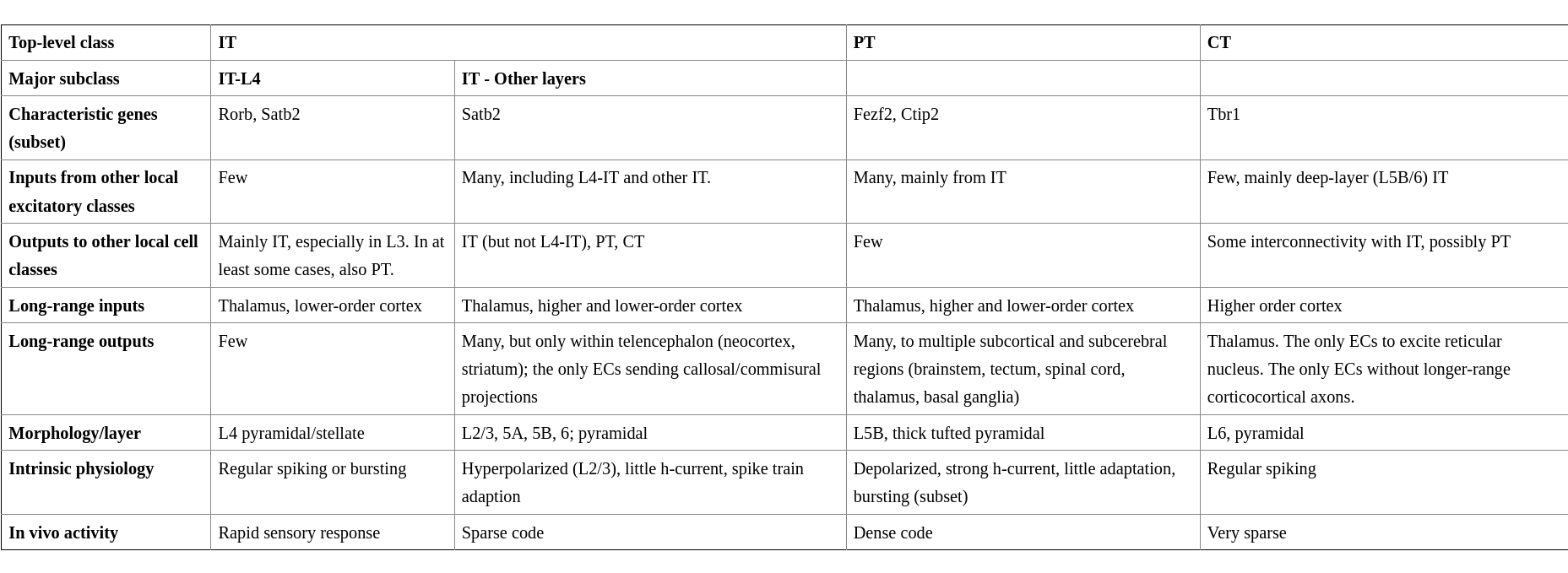 Table with overview of excitatory
classes